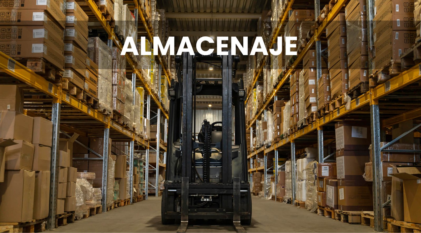 almacenje (1)